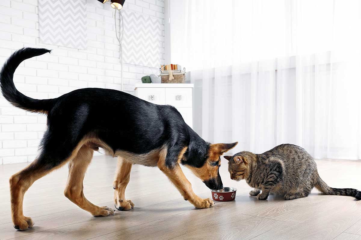 Awesome Image